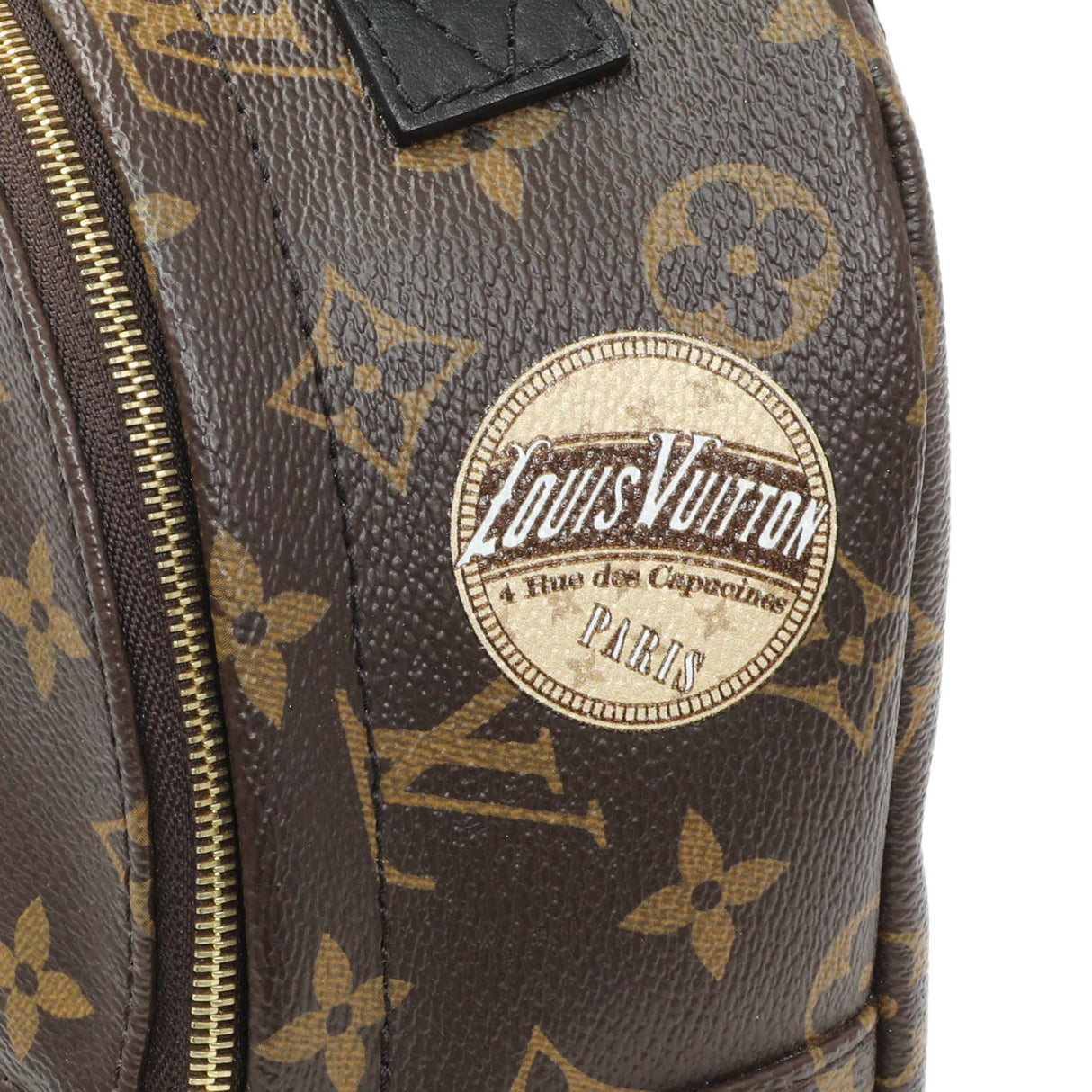Louis Vuitton Monogram Palm Springs Backpack Mini Handbags Louis Vuitton