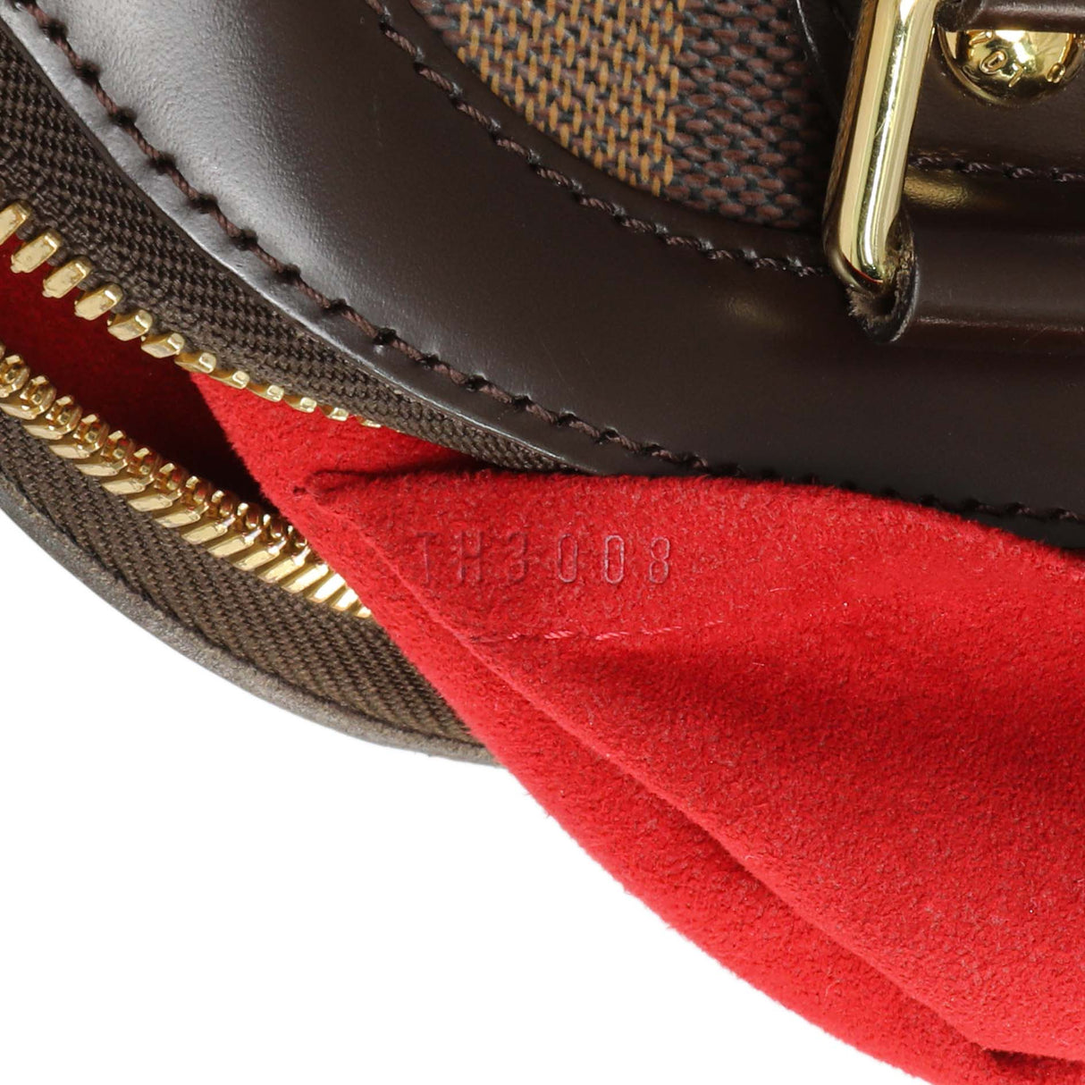 Louis Vuitton Damier Ebene Trevi PM Handbags Louis Vuitton