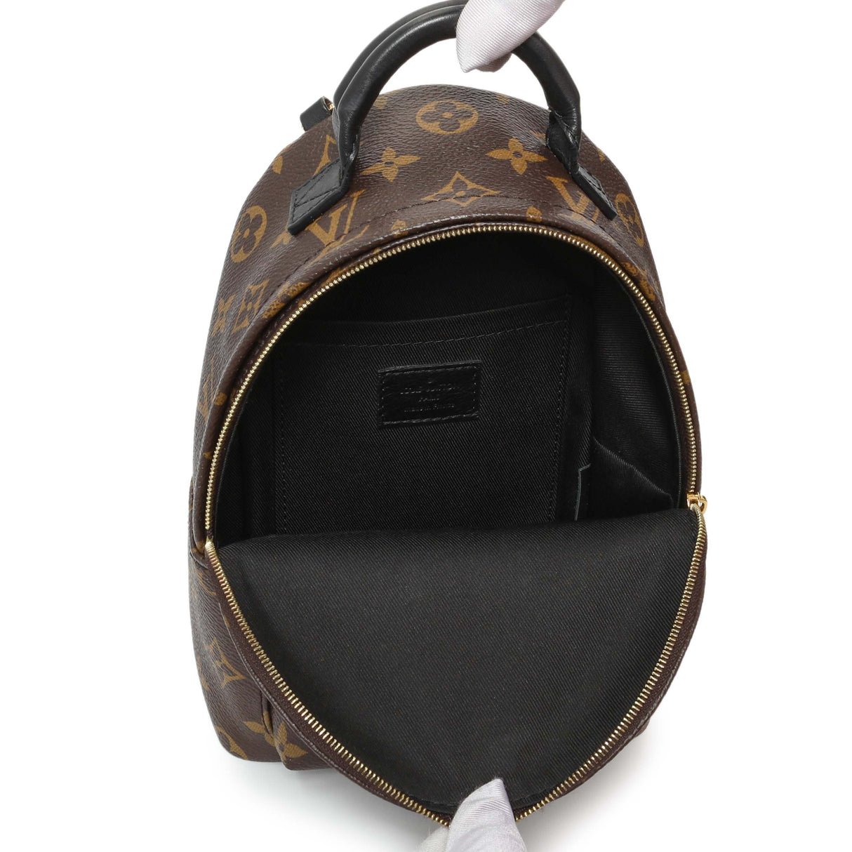 Louis Vuitton Monogram Palm Springs Backpack Mini Handbags Louis Vuitton