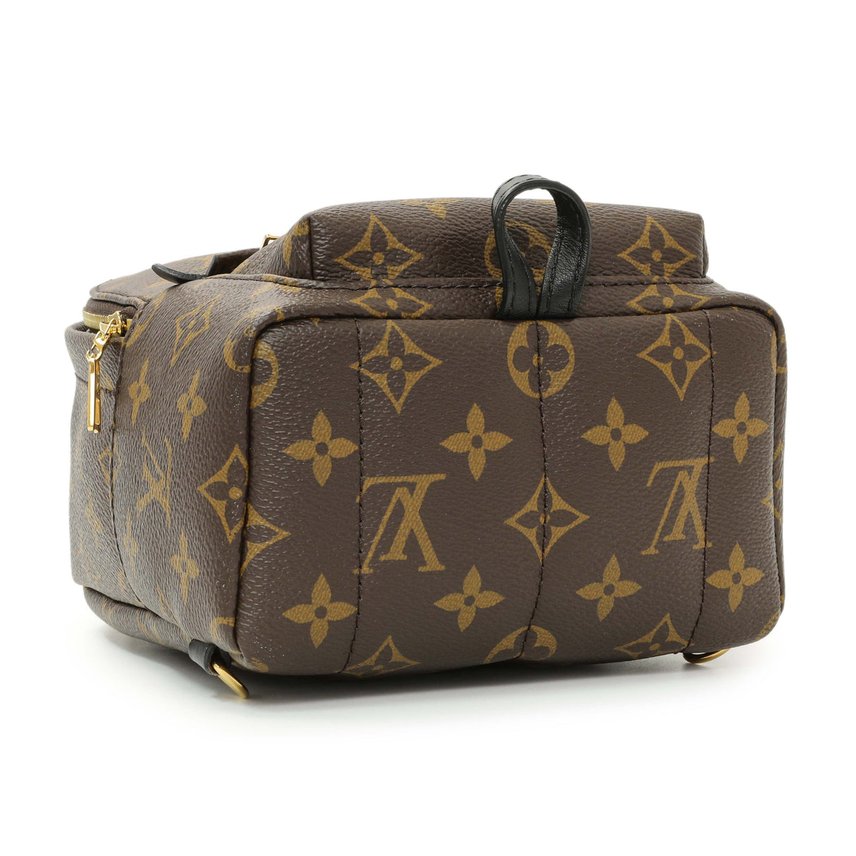 Louis Vuitton Monogram Palm Springs Backpack Mini Handbags Louis Vuitton