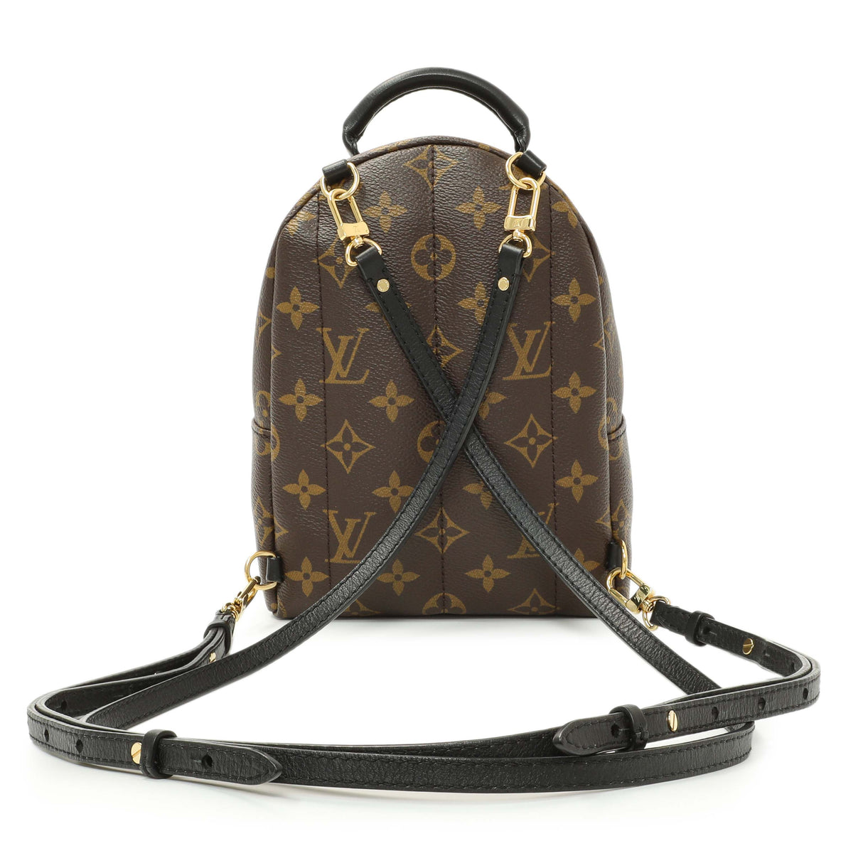 Louis Vuitton Monogram Palm Springs Backpack Mini Handbags Louis Vuitton