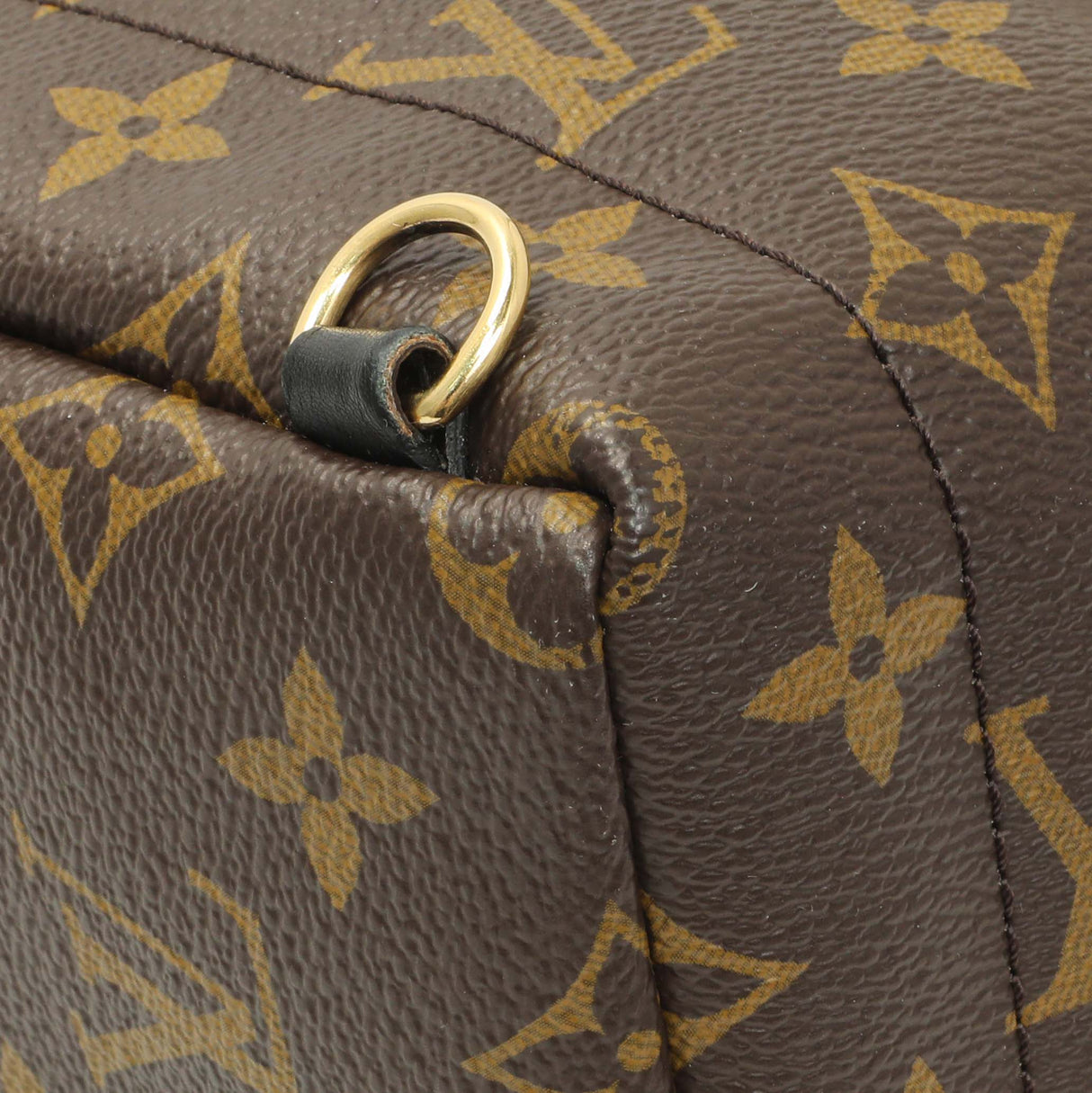 Louis Vuitton Monogram Palm Springs Backpack Mini Handbags Louis Vuitton