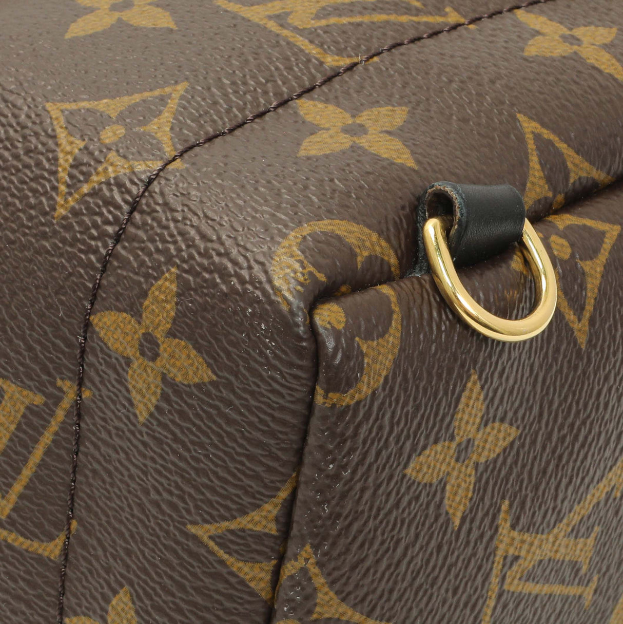Louis Vuitton Monogram Palm Springs Backpack Mini Handbags Louis Vuitton