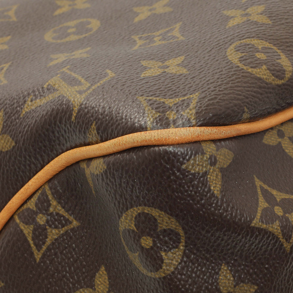 Louis Vuitton Monogram Delightful PM Handbags Louis Vuitton