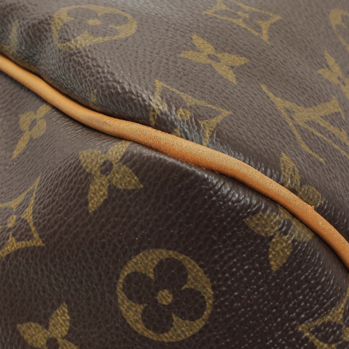 Louis Vuitton Monogram Delightful PM Handbags Louis Vuitton