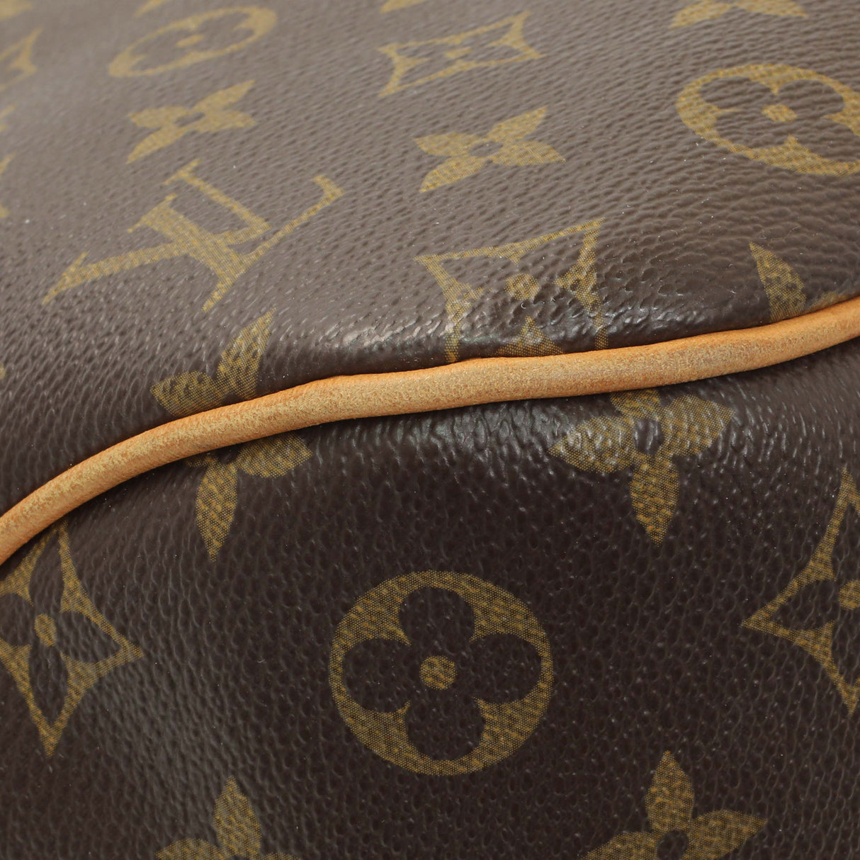 Louis Vuitton Monogram Delightful PM Handbags Louis Vuitton