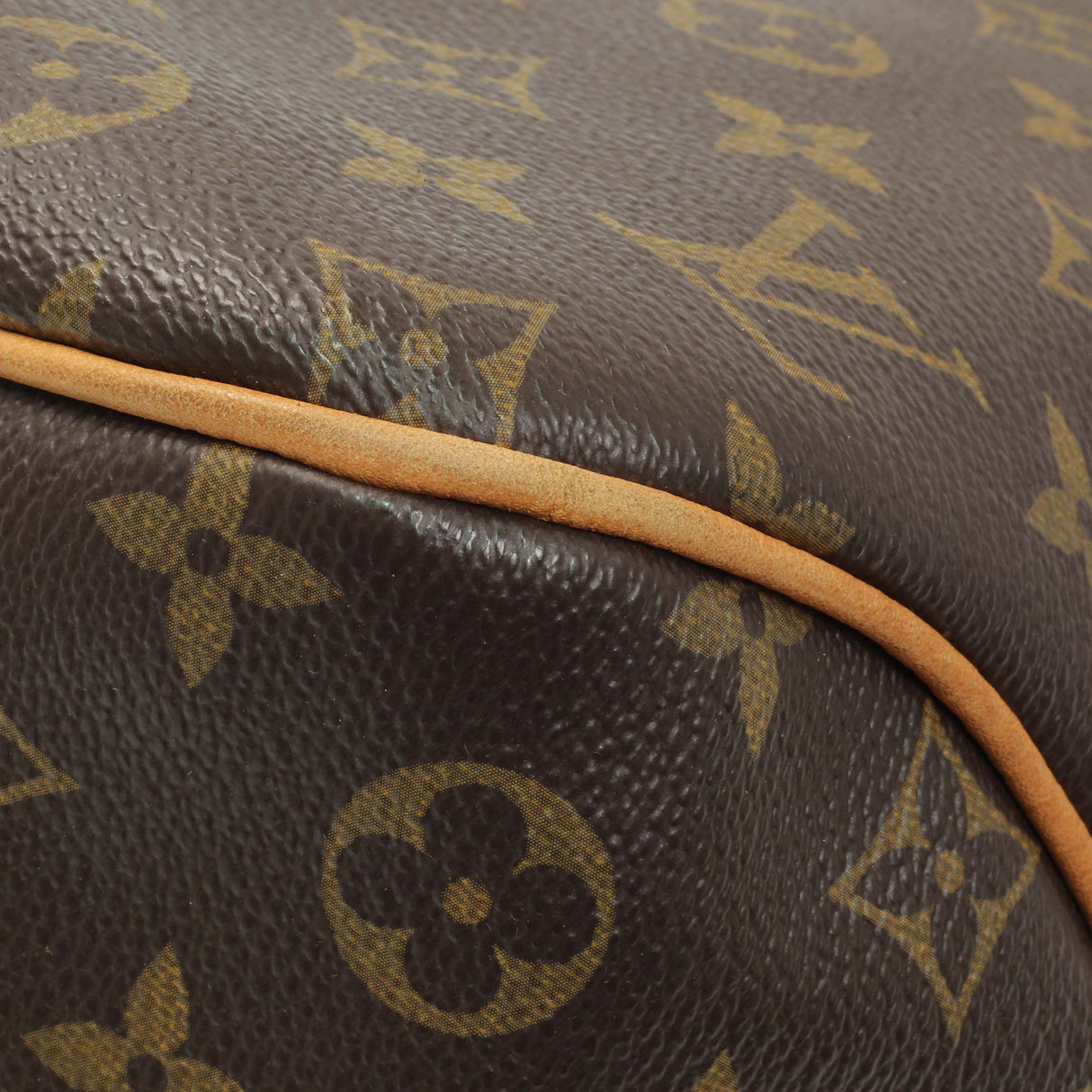 Louis Vuitton Monogram Delightful PM Handbags Louis Vuitton