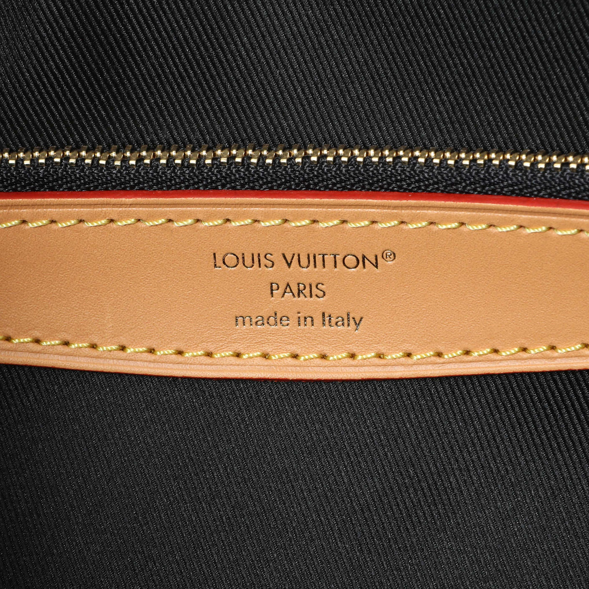 Louis Vuitton Monogram Diane