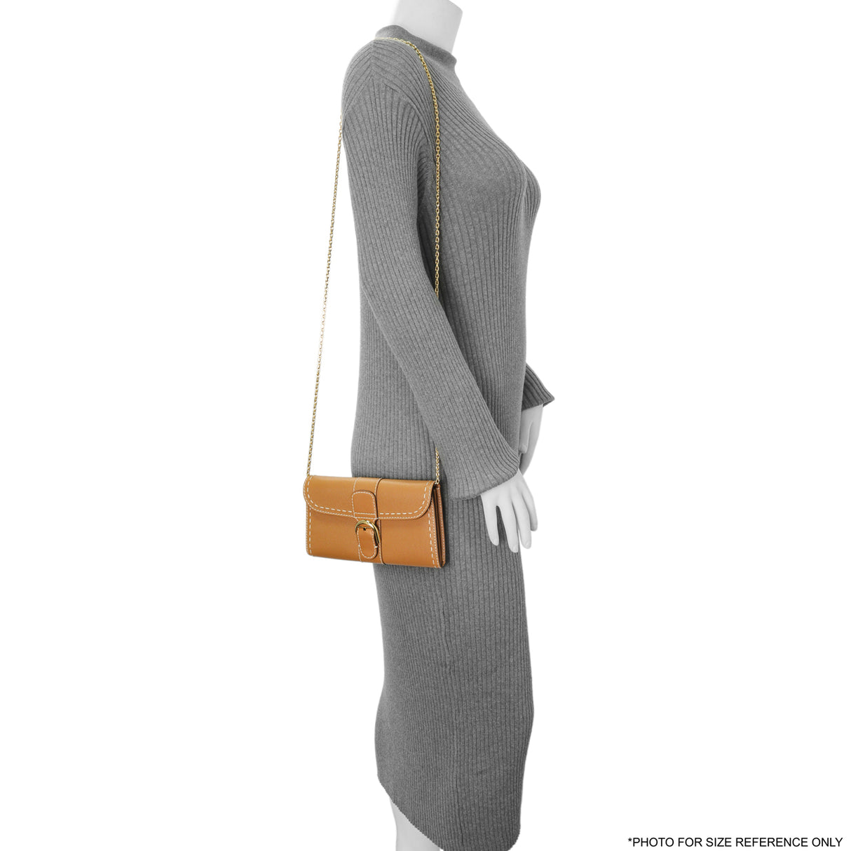 Delvaux Tan Rodeo Calfskin Brillant Wallet On Chain Handbags Delvaux