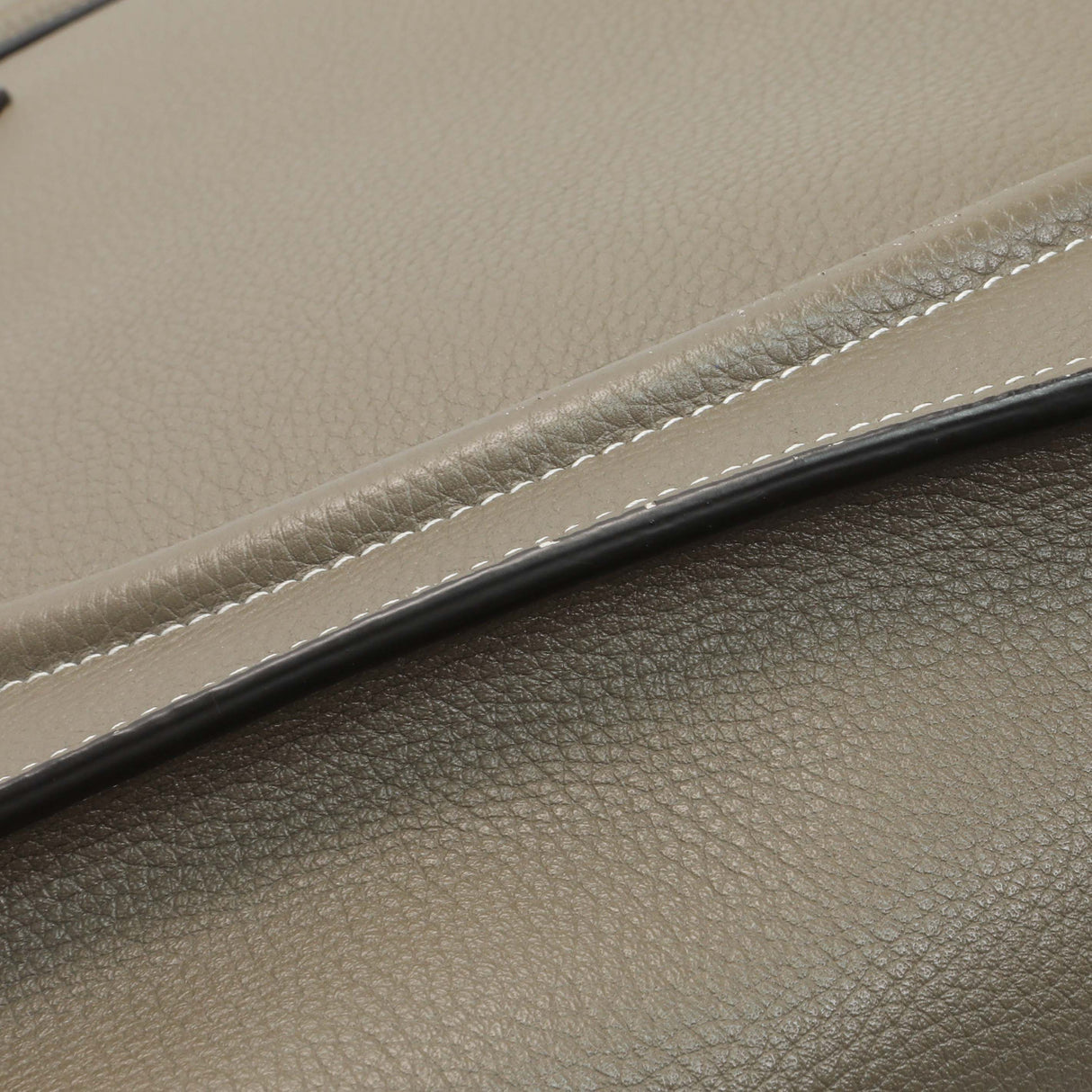 Celine Souris Drummed Calfskin Mini Luggage Tote Handbags Celine