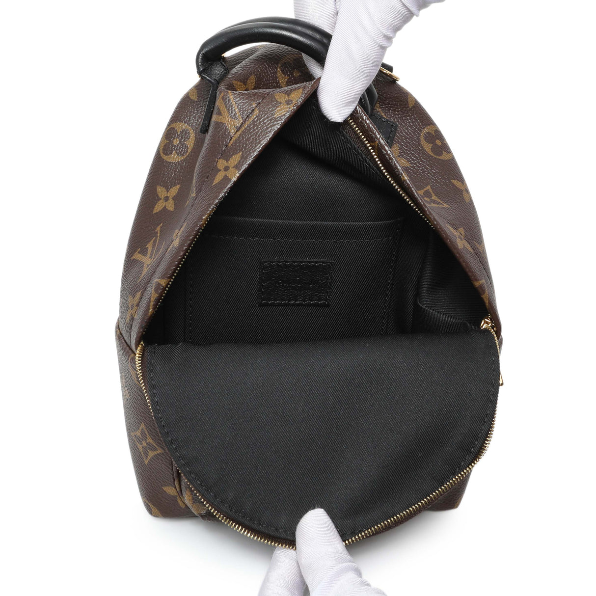 Louis Vuitton Monogram Palm Springs Backpack Mini Handbags Louis Vuitton