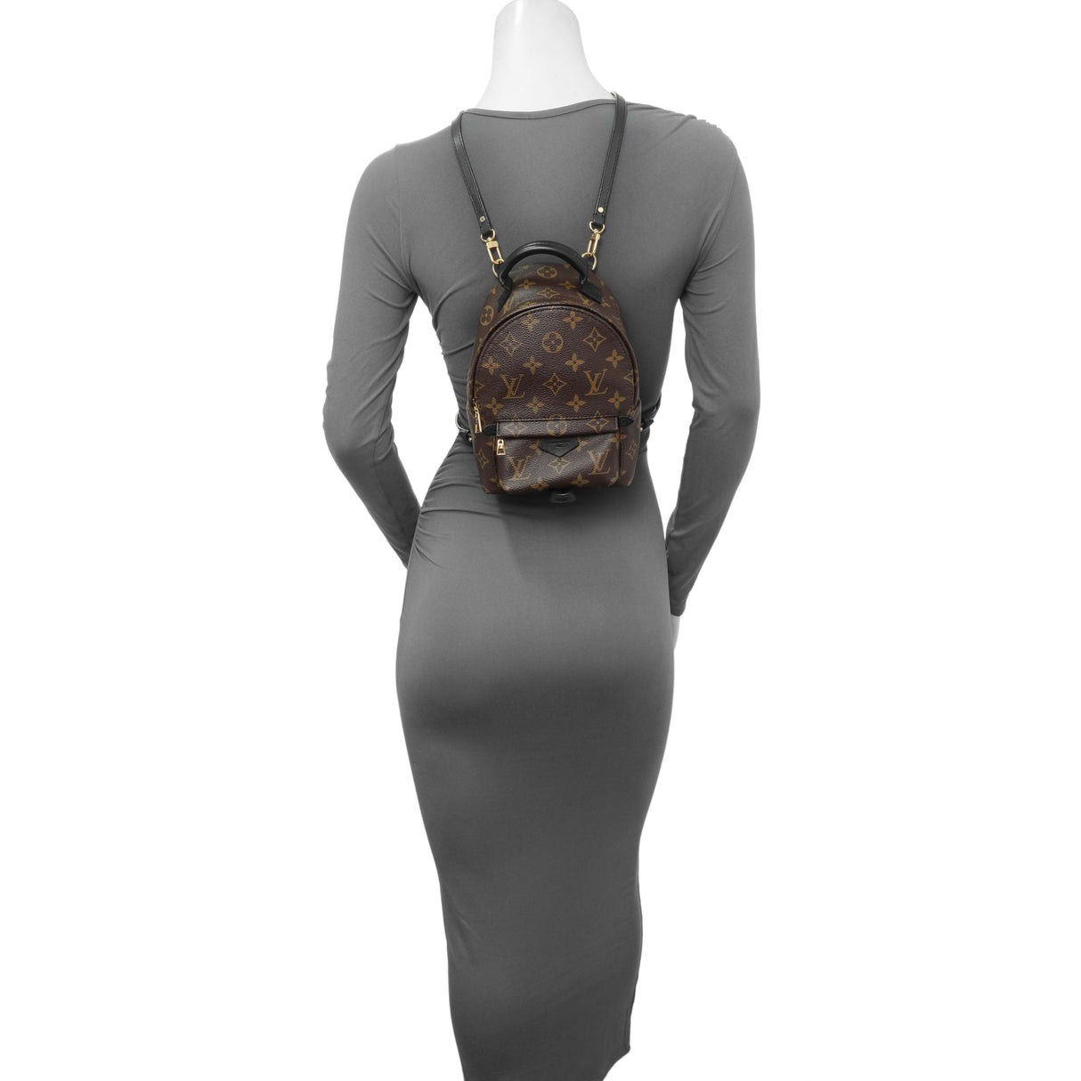 Louis Vuitton Monogram Palm Springs Backpack Mini Handbags Louis Vuitton