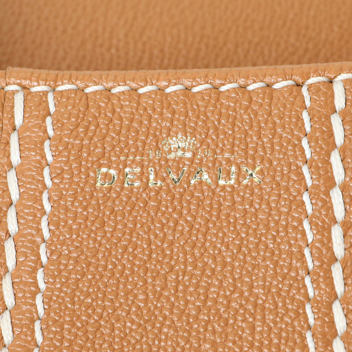 Delvaux Vegetal Grained Rodeo Calfskin Brillant Mini Surpiqué Handbags Delvaux