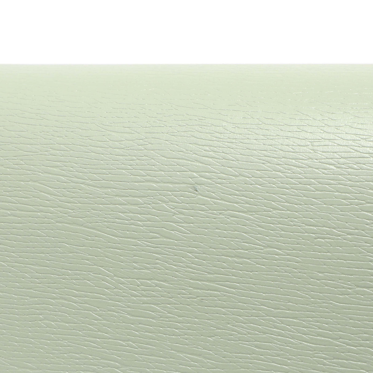 Gucci Pale Green Textured Calfskin Script Logo Chain Wallet Handbags Gucci