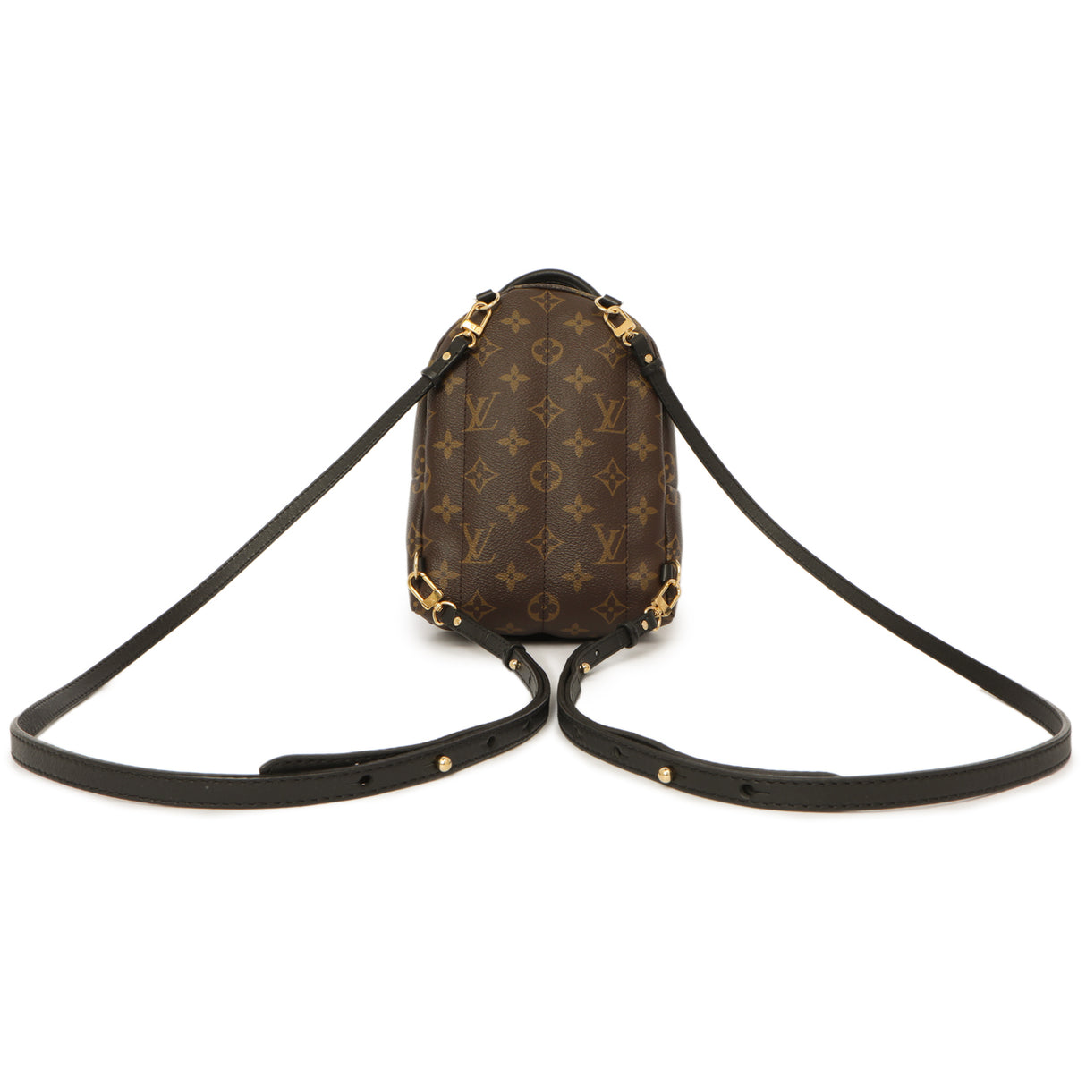 Louis Vuitton Monogram World Tour Palm Springs Backpack Mini Handbags Louis Vuitton