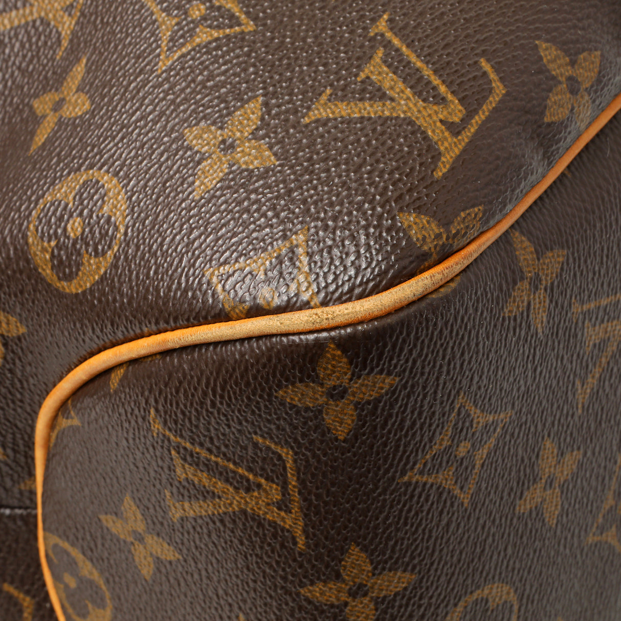 Louis Vuitton Monogram Delightful MM Handbags Louis Vuitton