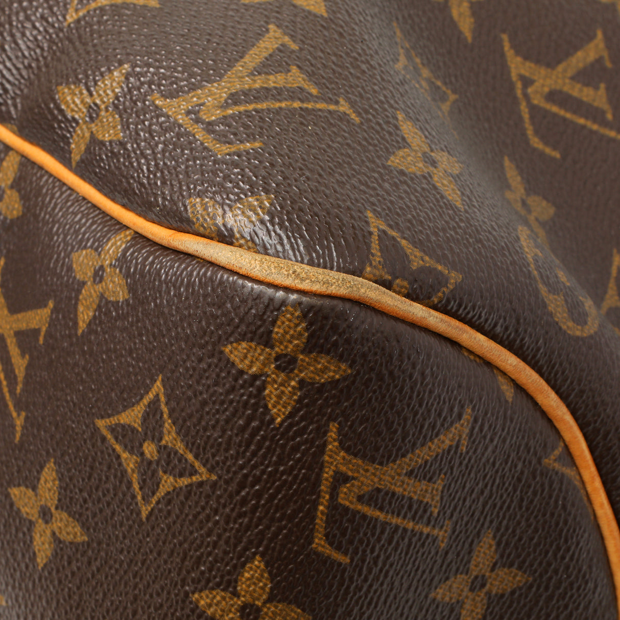 Louis Vuitton Monogram Delightful MM Handbags Louis Vuitton