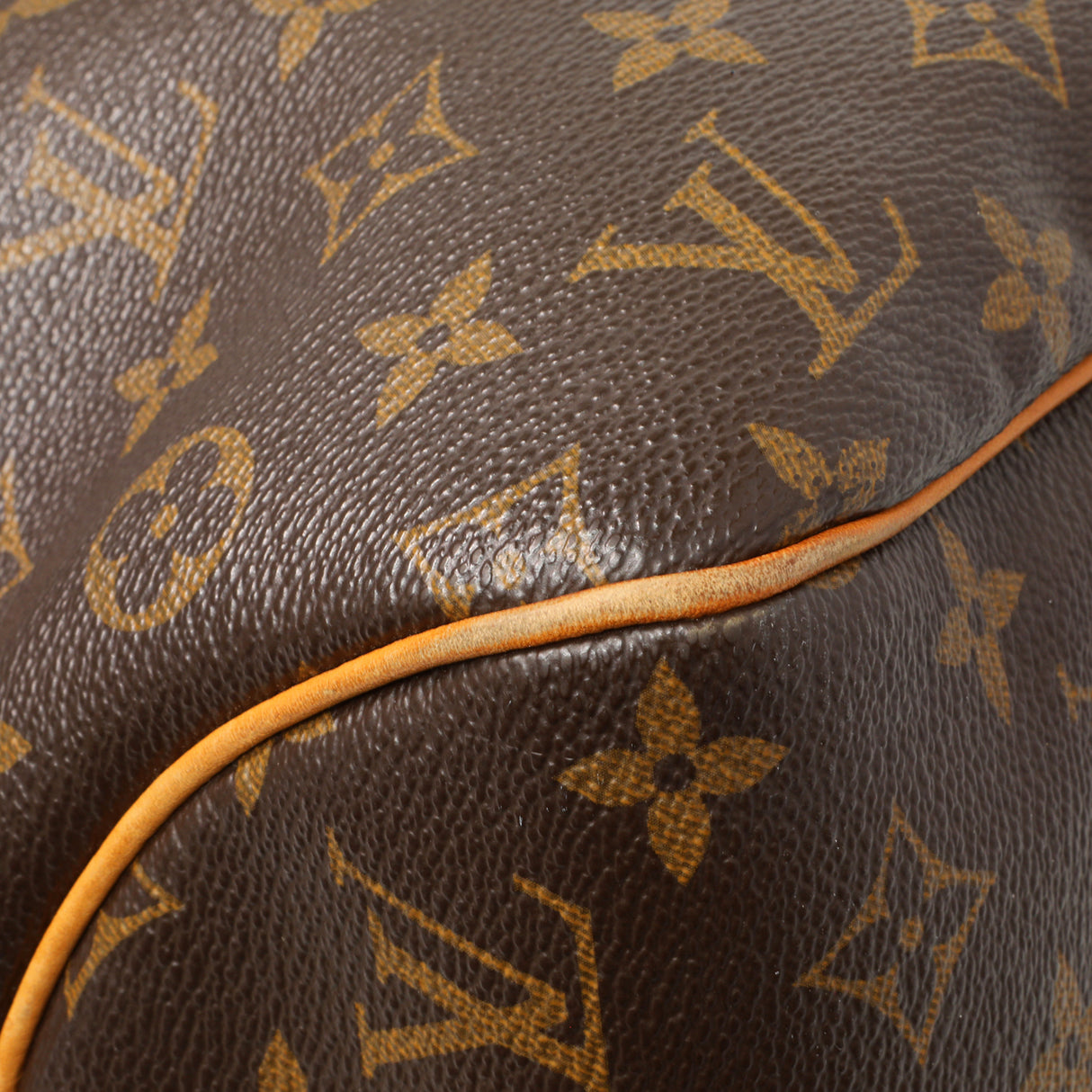 Louis Vuitton Monogram Delightful MM Handbags Louis Vuitton