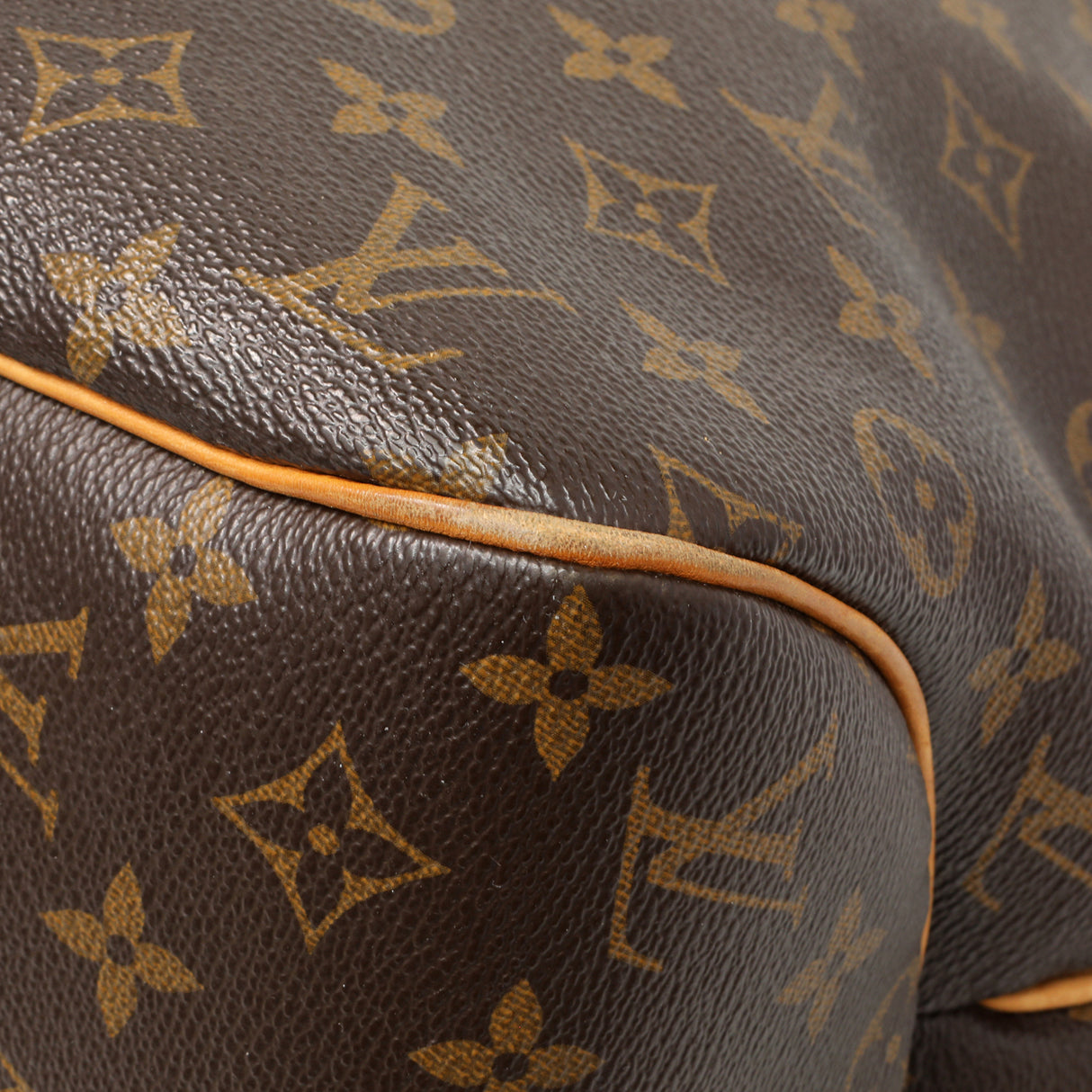Louis Vuitton Monogram Delightful MM Handbags Louis Vuitton