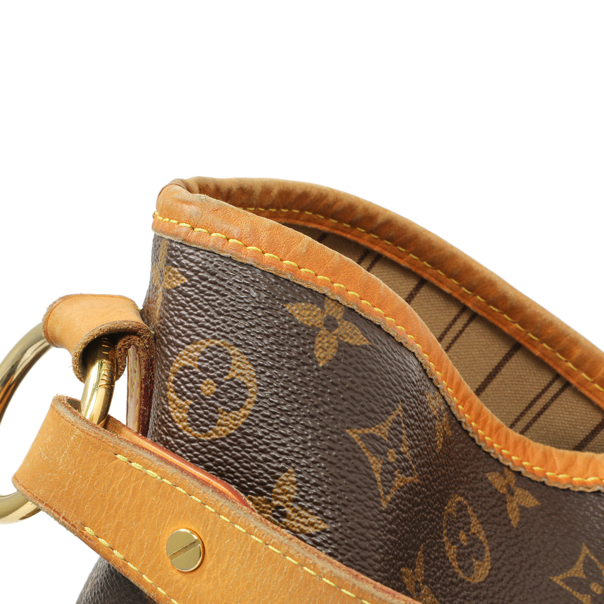 Louis Vuitton Monogram Delightful MM Handbags Louis Vuitton