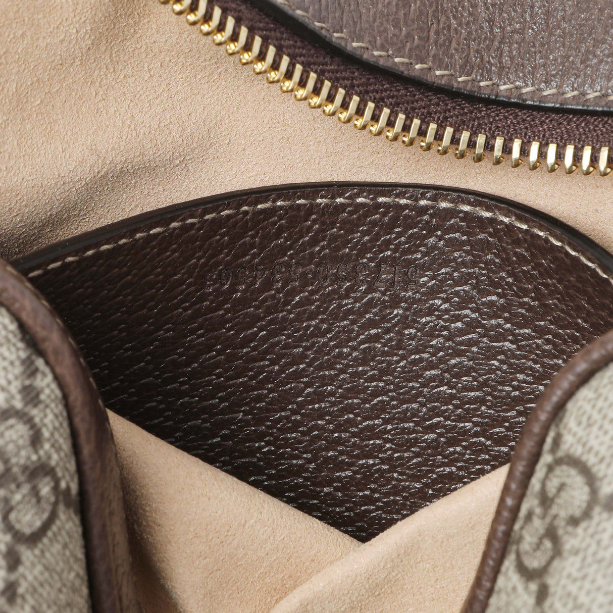 Gucci Supreme Canvas Ophidia Mini Shoulder Bag