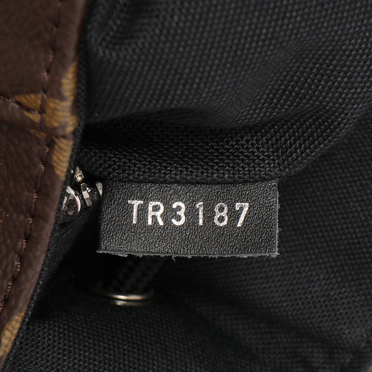 Louis Vuitton Monogram Macassar Christopher MM Backpack Handbags Louis Vuitton