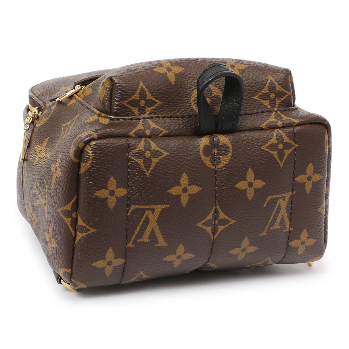 Louis Vuitton Monogram Palm Springs Backpack Mini Handbags Louis Vuitton