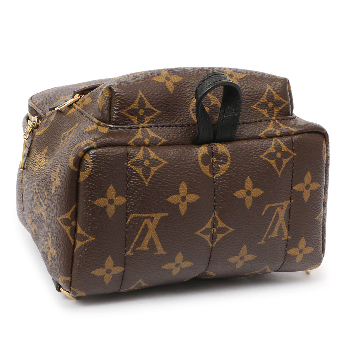 Louis Vuitton Monogram Palm Springs Backpack Mini Handbags Louis Vuitton