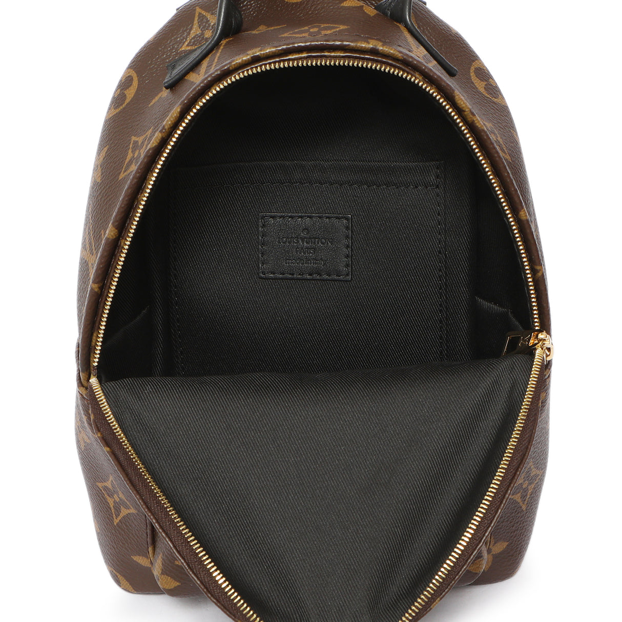 Louis Vuitton Monogram Palm Springs Backpack Mini Handbags Louis Vuitton