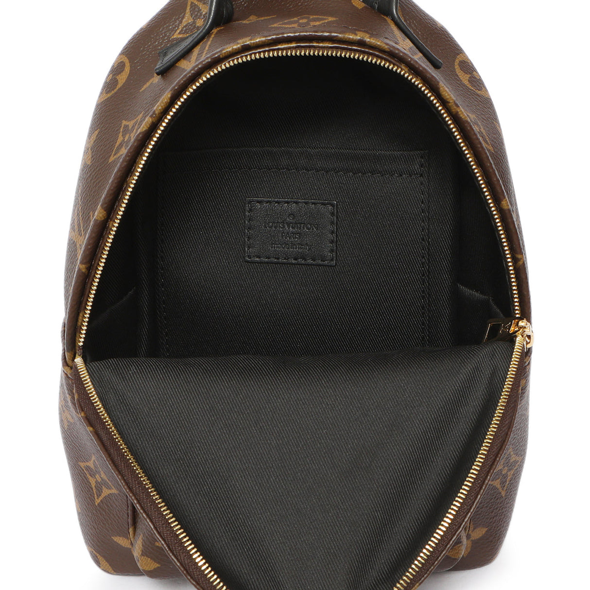 Louis Vuitton Monogram Palm Springs Backpack Mini Handbags Louis Vuitton