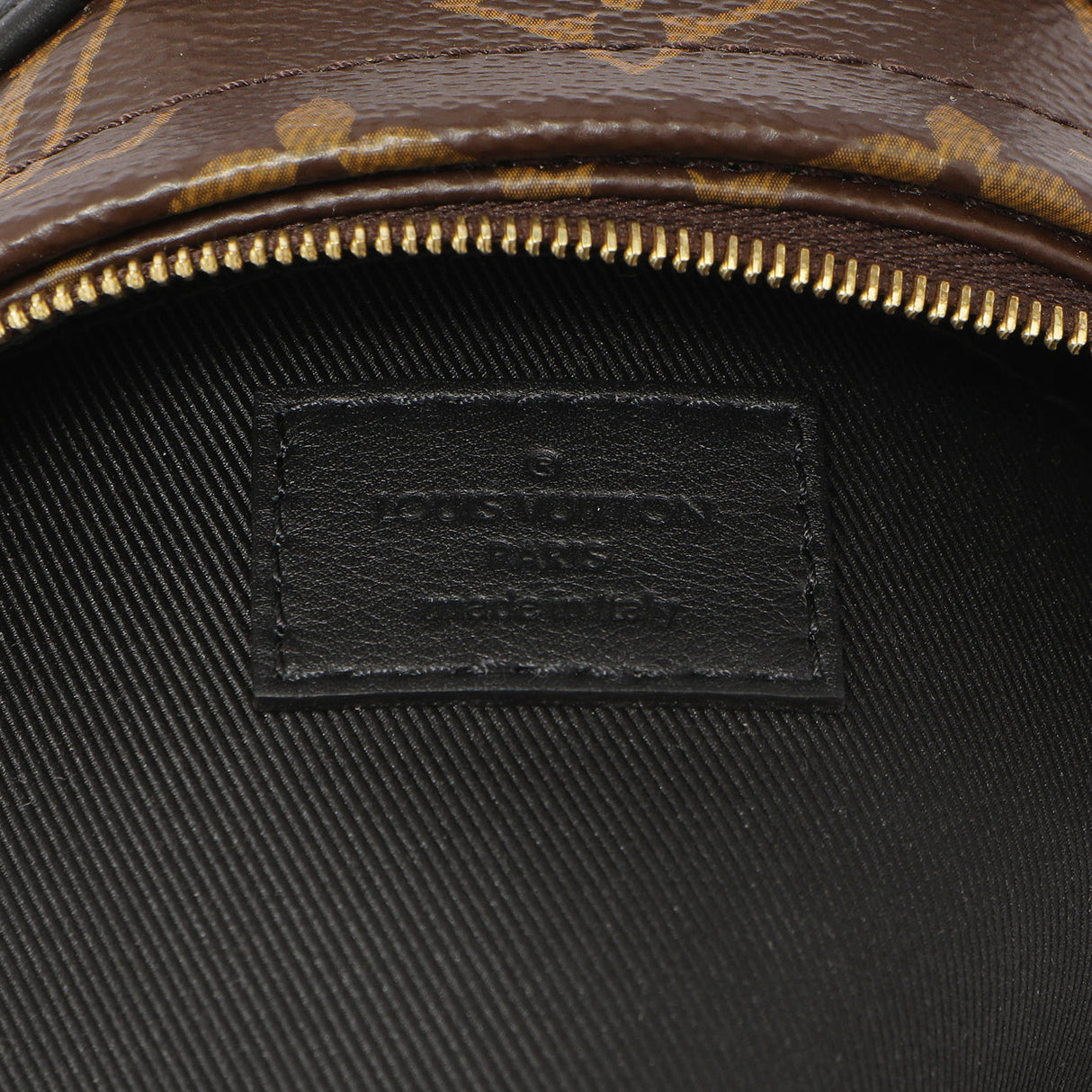 Louis Vuitton Monogram Palm Springs Backpack Mini Handbags Louis Vuitton