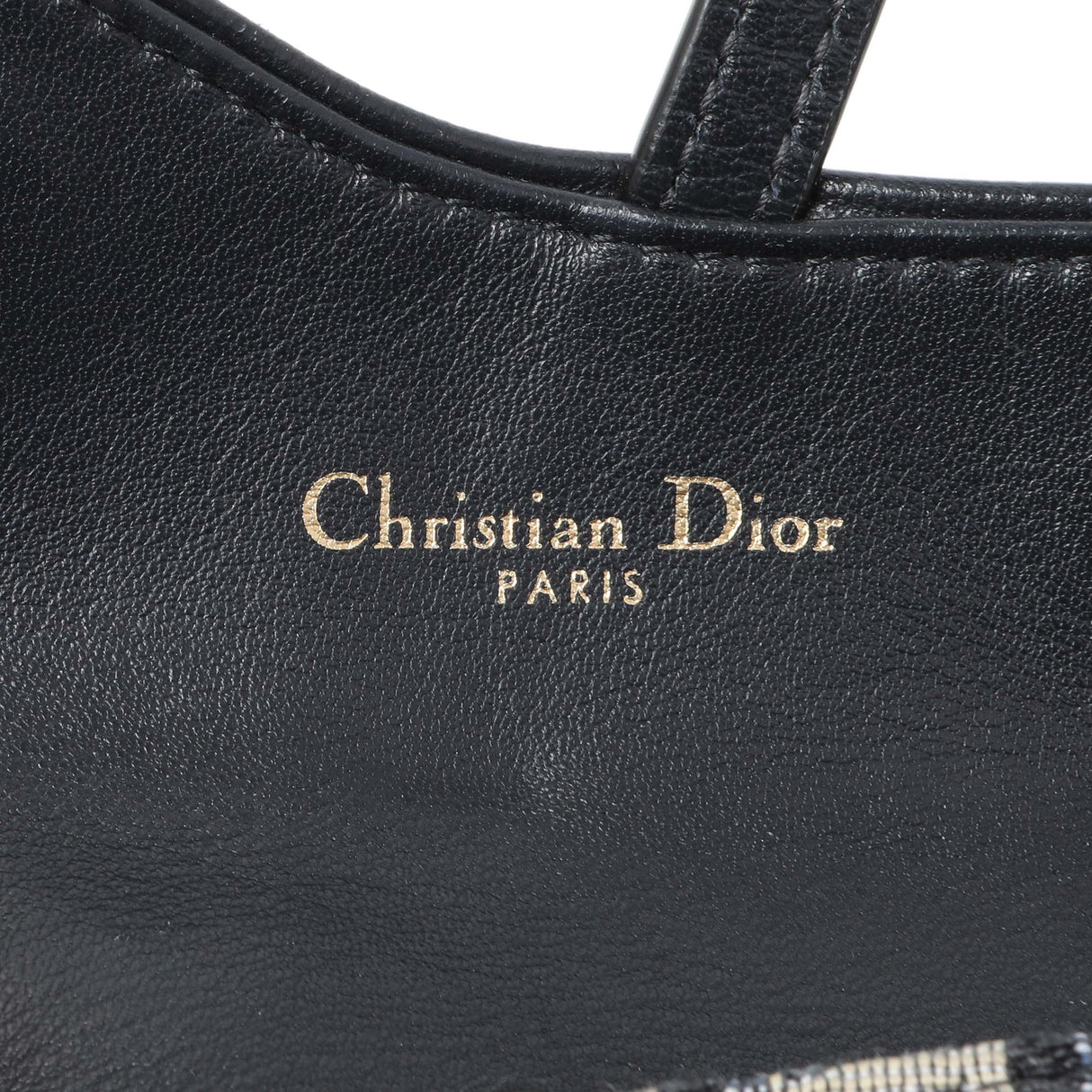 Christian Dior Oblique Nano Saddle Chain Pouch
