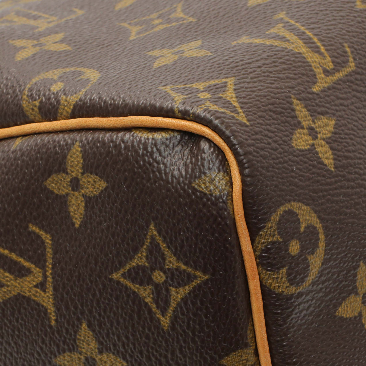 Louis Vuitton Monogram Speedy 25