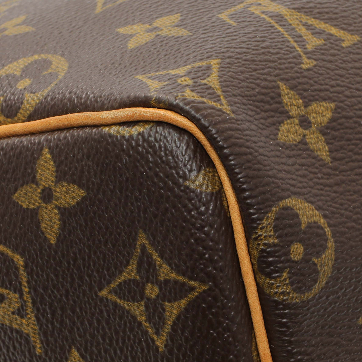 Louis Vuitton Monogram Speedy 25