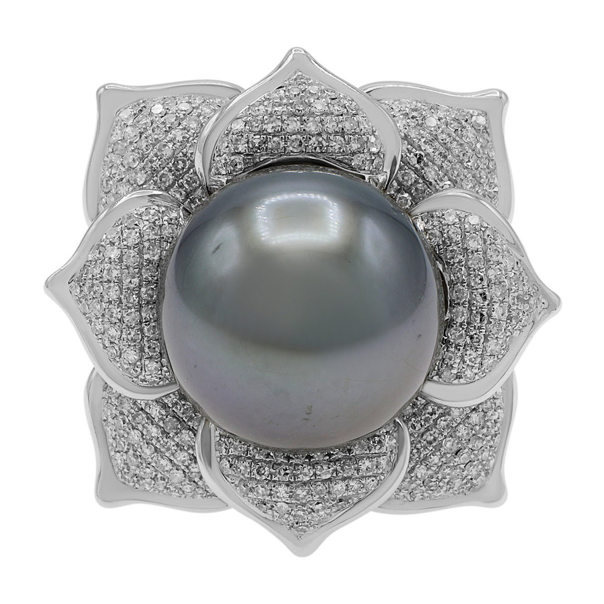 18k White Gold 14.4mm Tahitian Pearl & Diamond Ring Fine Jewellery Modaselle