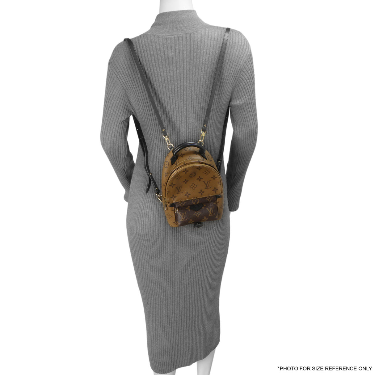 Louis Vuitton Reverse Monogram Palm Springs Backpack Mini Handbags Louis Vuitton