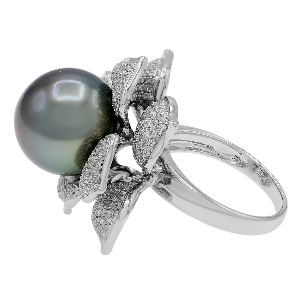 18k White Gold 14.4mm Tahitian Pearl & Diamond Ring Fine Jewellery Modaselle
