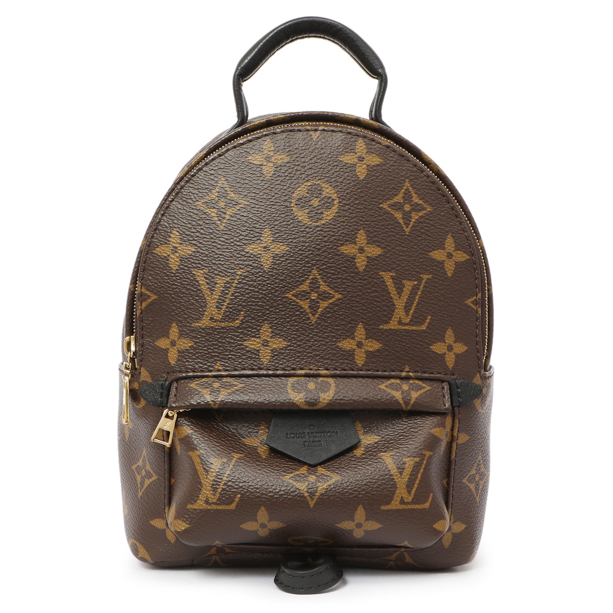 Louis Vuitton Monogram Palm Springs Backpack Mini Handbags Louis Vuitton