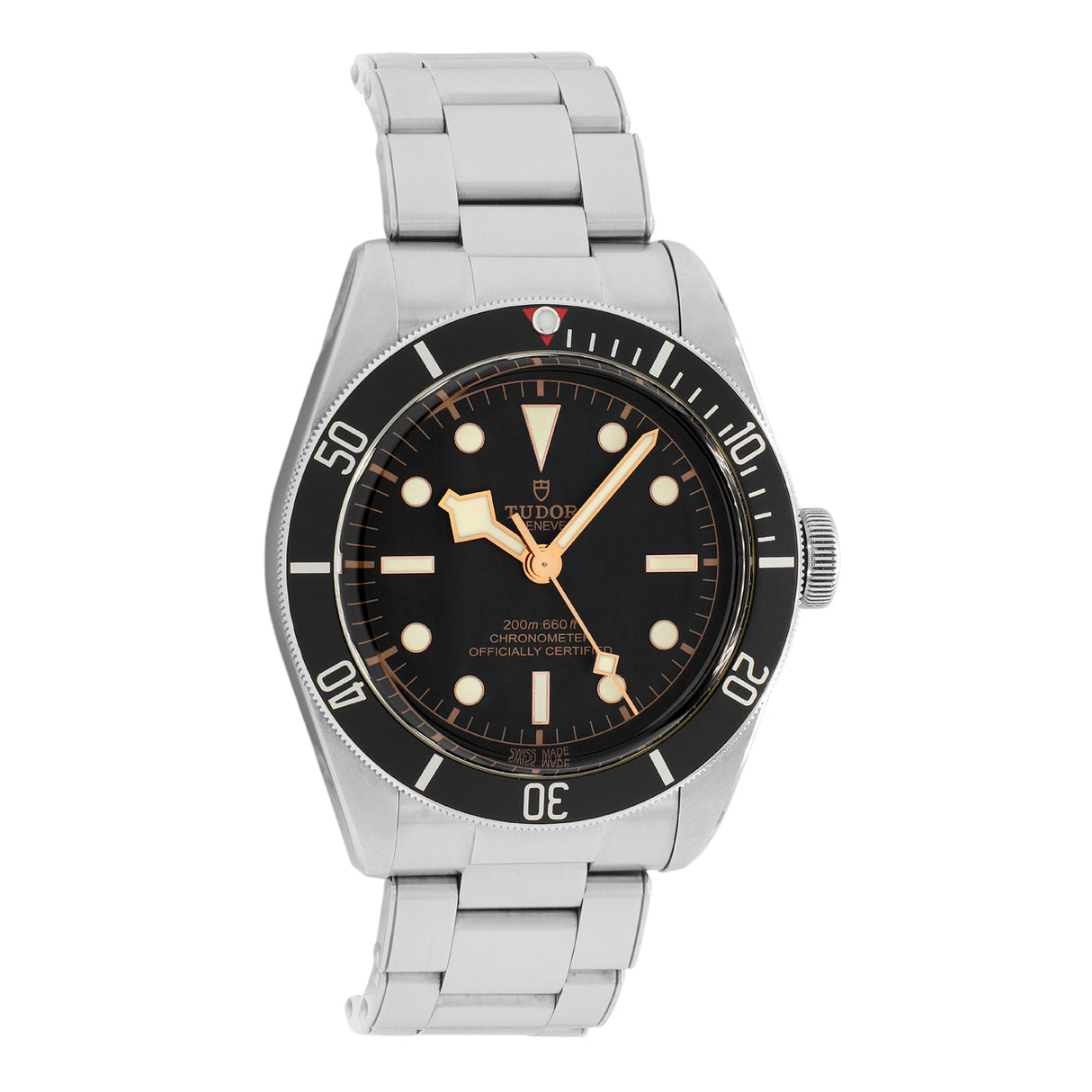 Tudor Stainless Steel Black Bay 79230N Watches Tudor