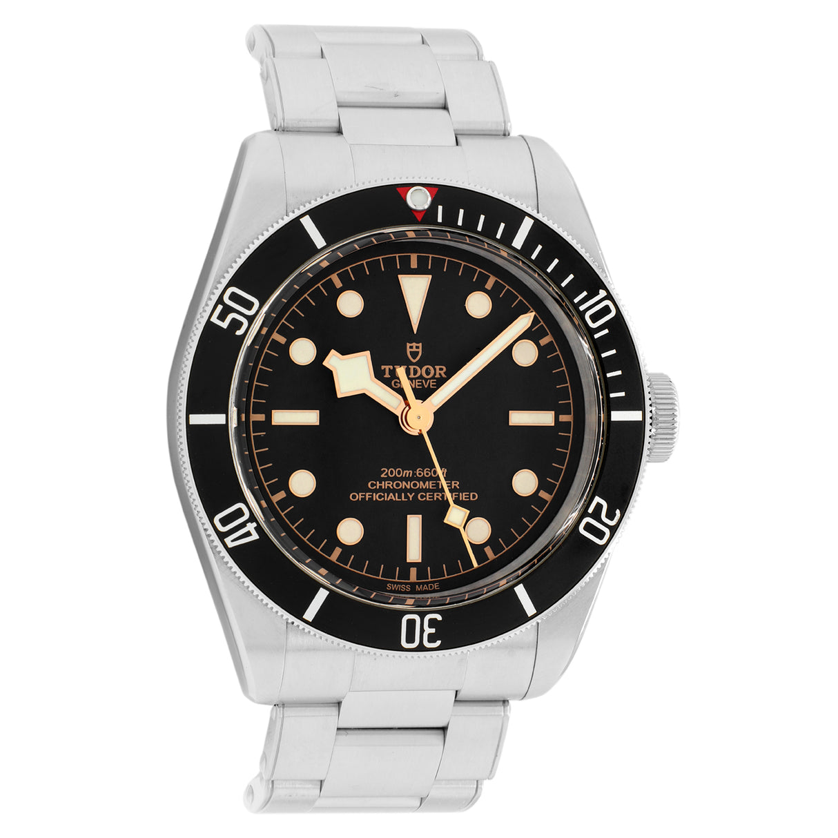 Tudor Stainless Steel Black Bay 79230N Watches Tudor