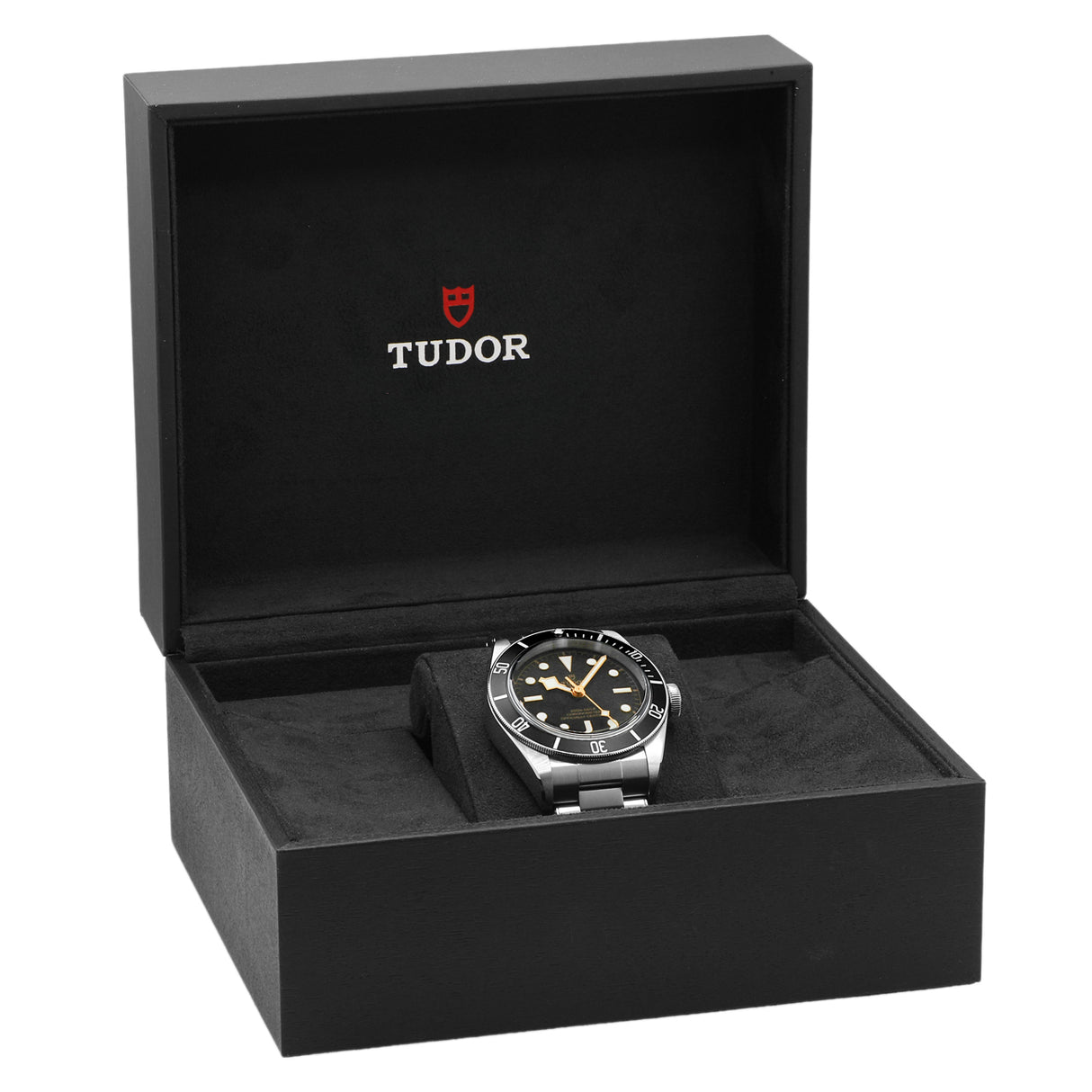 Tudor Stainless Steel Black Bay 79230N Watches Tudor