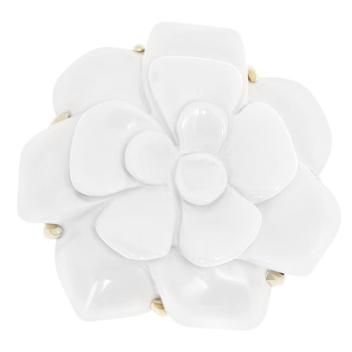 The Story Behind Chanel display picture 2