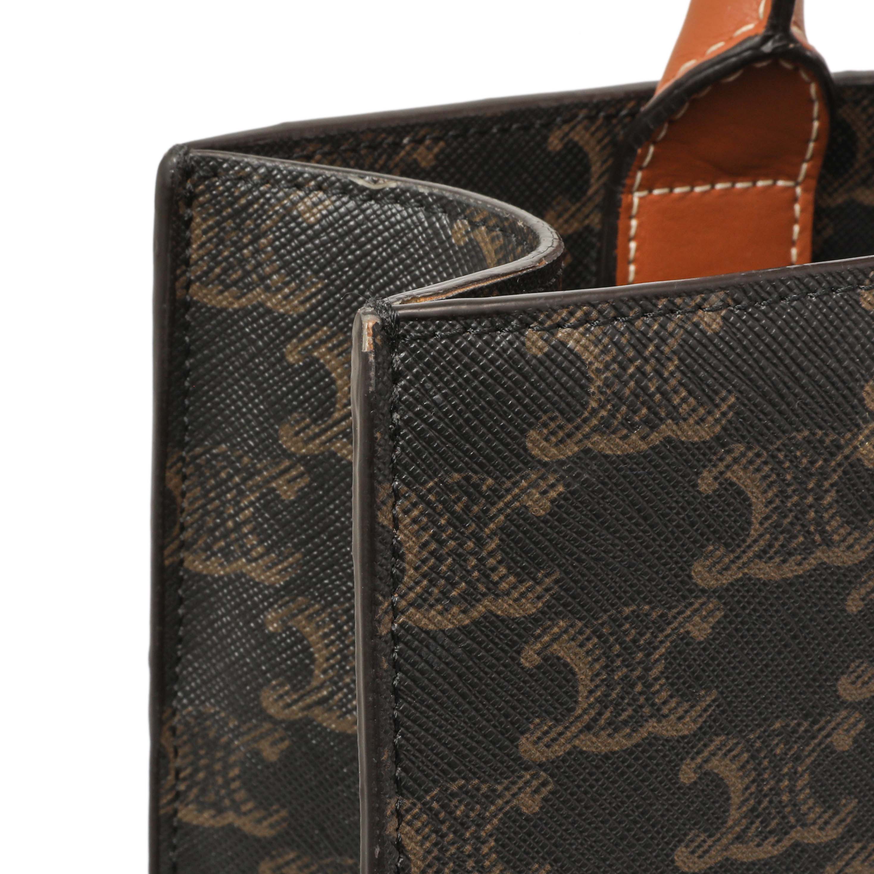 Celine Triomphe Canvas Small Vertical Cabas – Modaselle