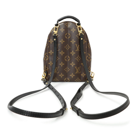 Louis Vuitton Monogram Palm Springs Backpack Mini Handbags Louis Vuitton