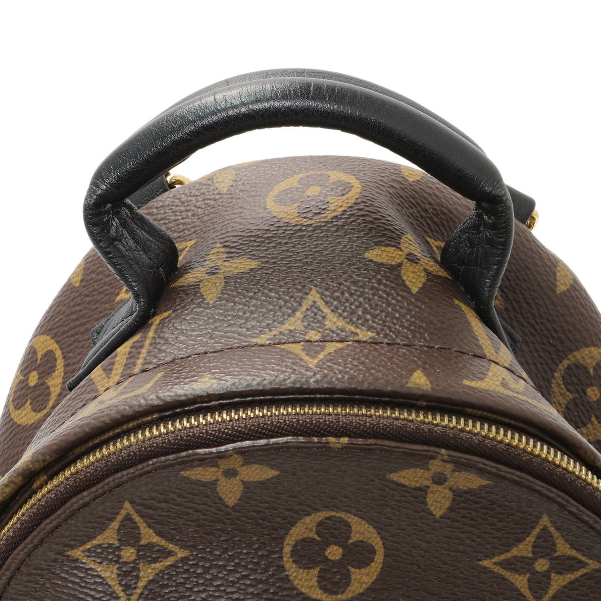 Louis Vuitton Monogram Palm Springs Backpack Mini Handbags Louis Vuitton