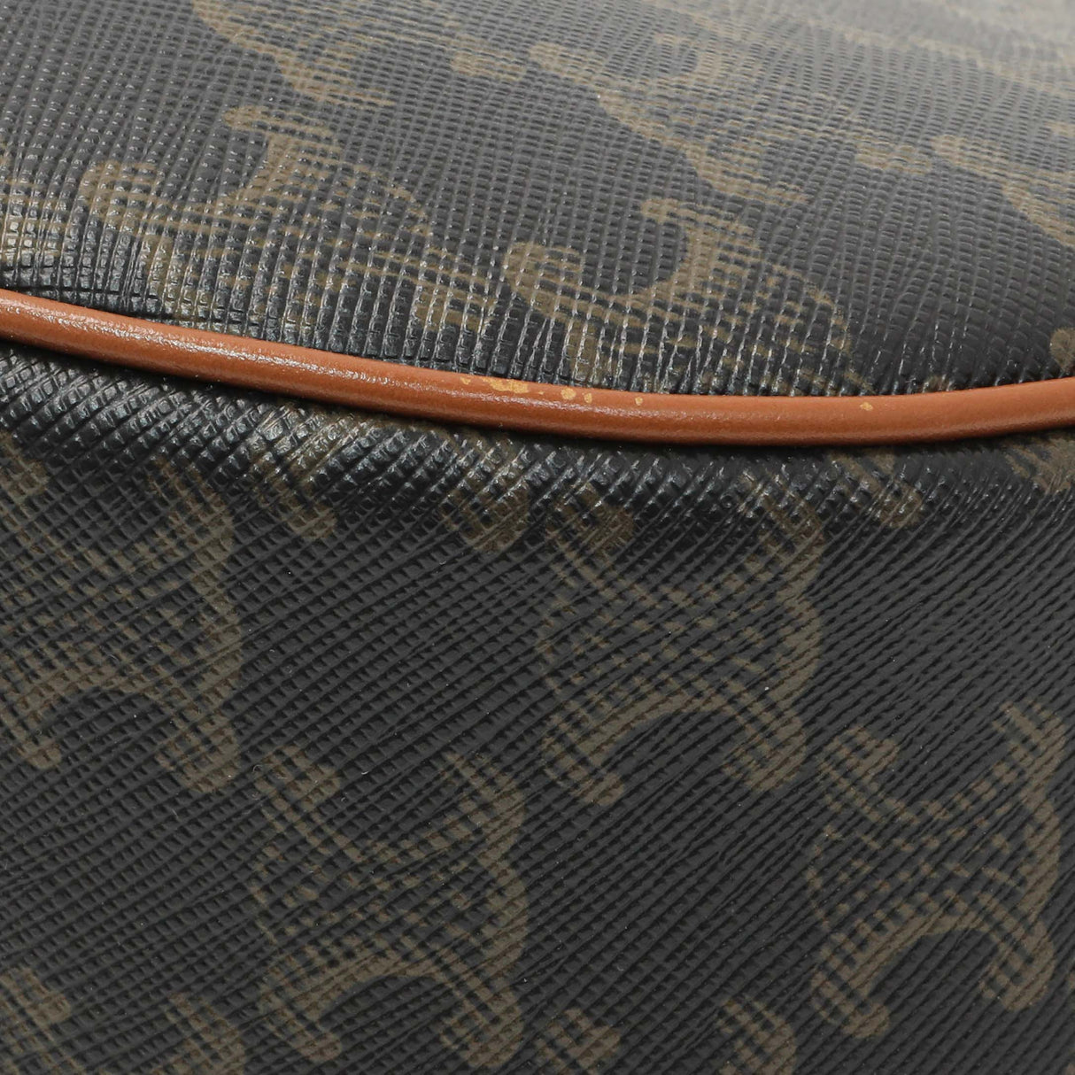 Celine Triomphe Canvas Calfskin Ava Shoulder Bag