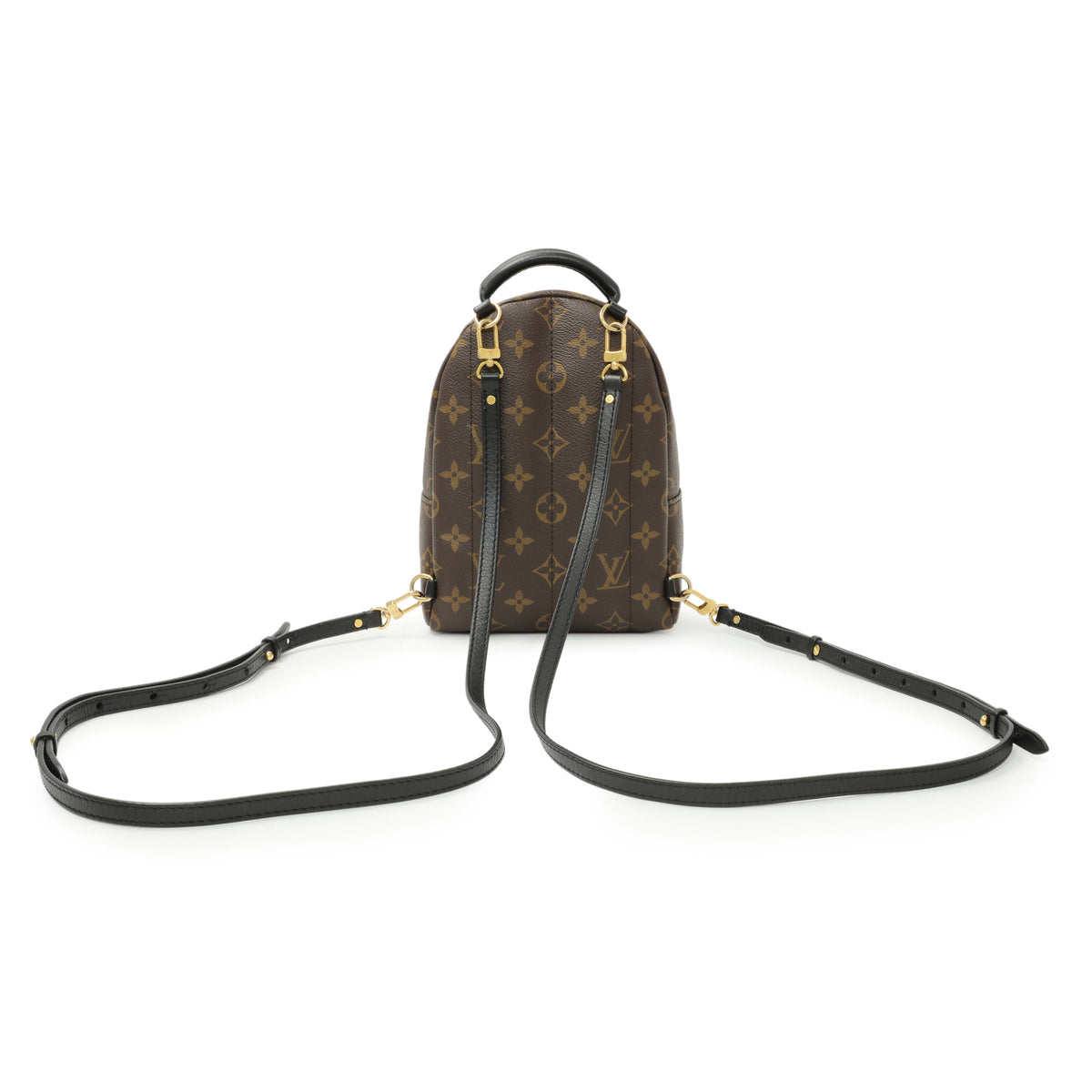 Louis Vuitton Monogram Palm Springs Backpack Mini