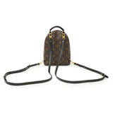 Louis Vuitton Monogram Palm Springs Backpack Mini