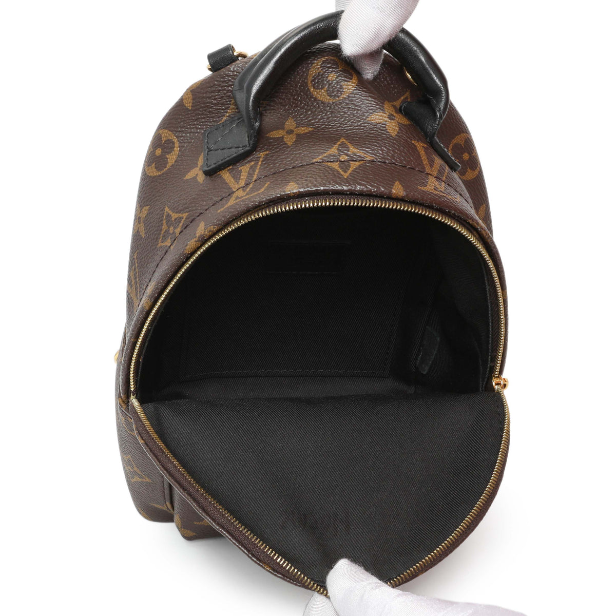 Louis Vuitton Monogram Palm Springs Backpack Mini