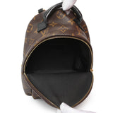 Louis Vuitton Monogram Palm Springs Backpack Mini